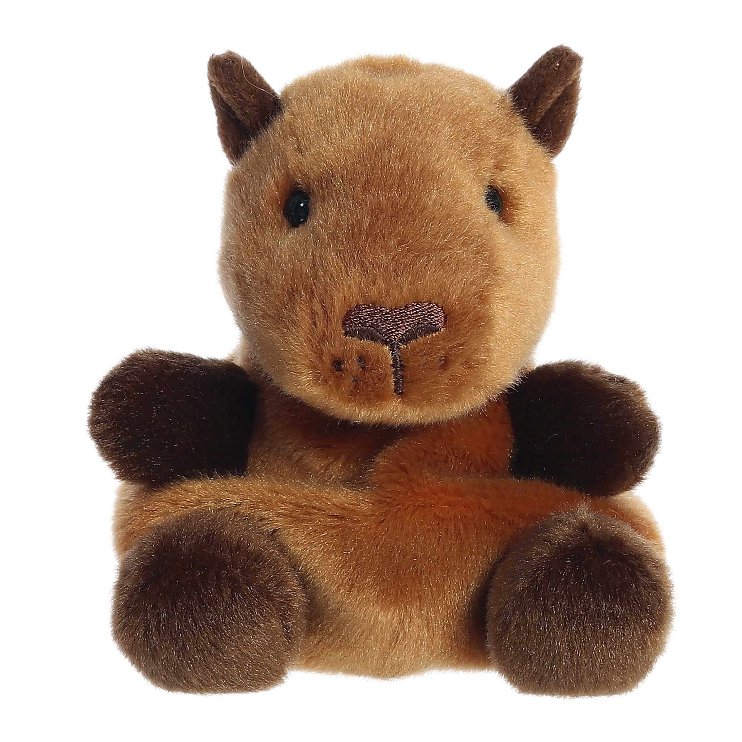 5" Sid Capybara Palm Pals