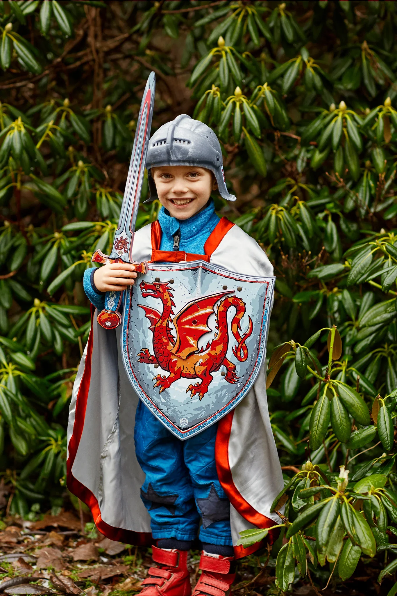 Amber Dragon King Shield - Image 2
