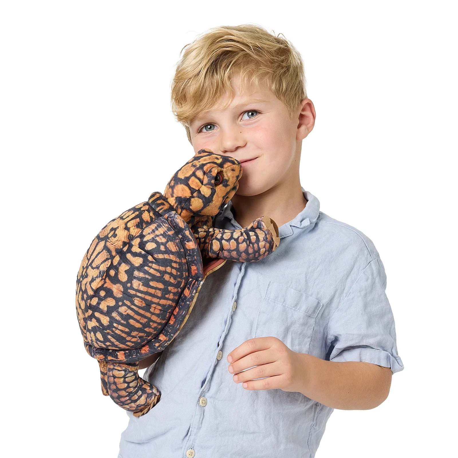 Box Turtle Puppet - Image 2