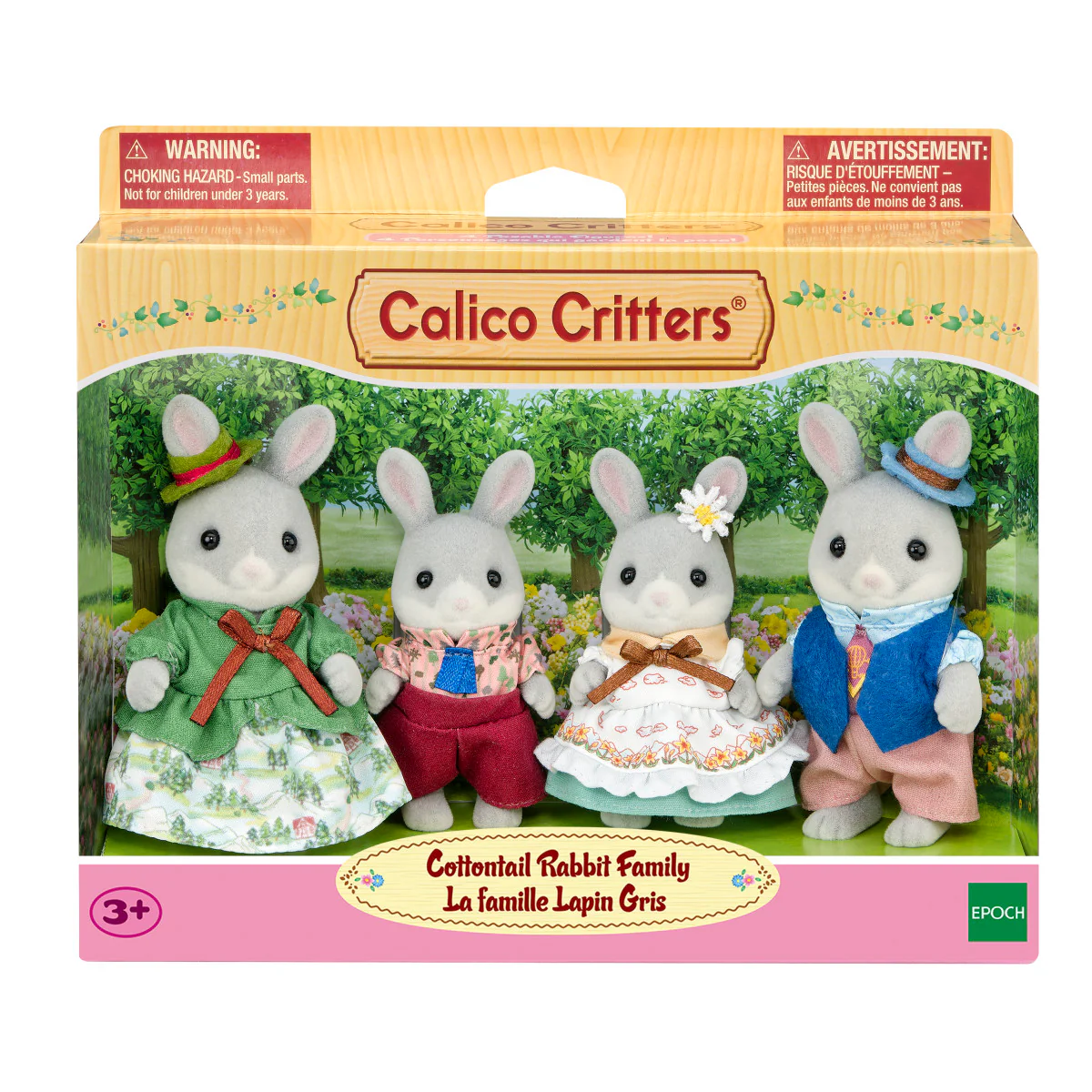 Cottontail Rabbit Family