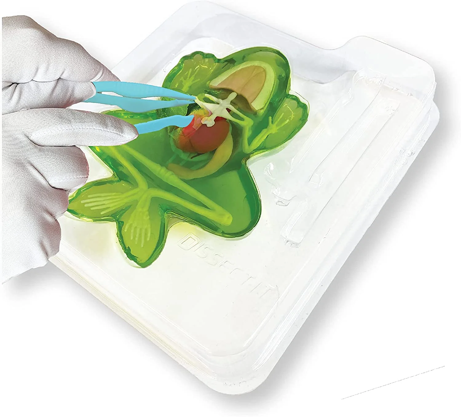 Dissect-It Frog Lab - Image 2
