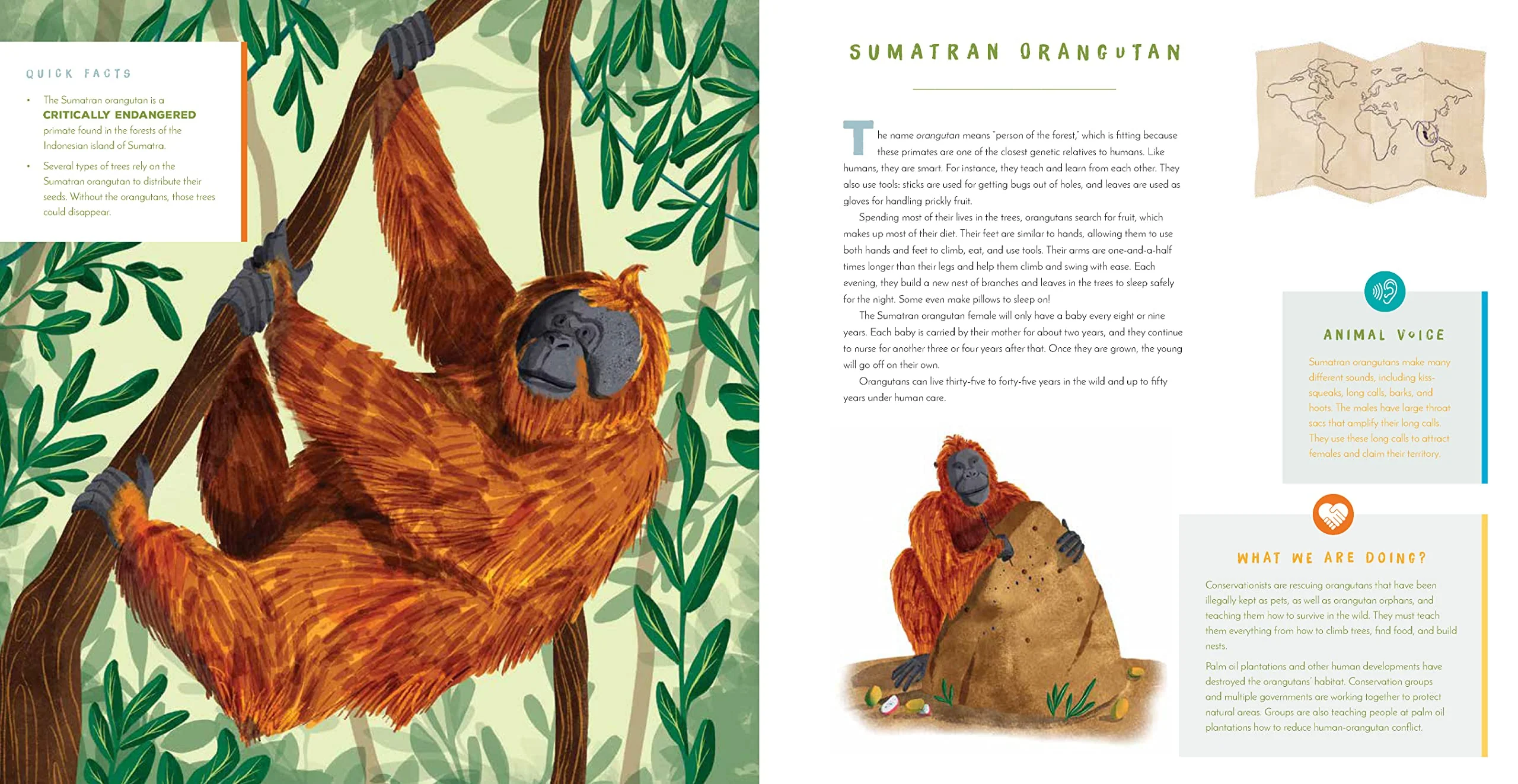 Hear Them Roar! 14 Endangered Animals From Around The World Sound Book - Image 2