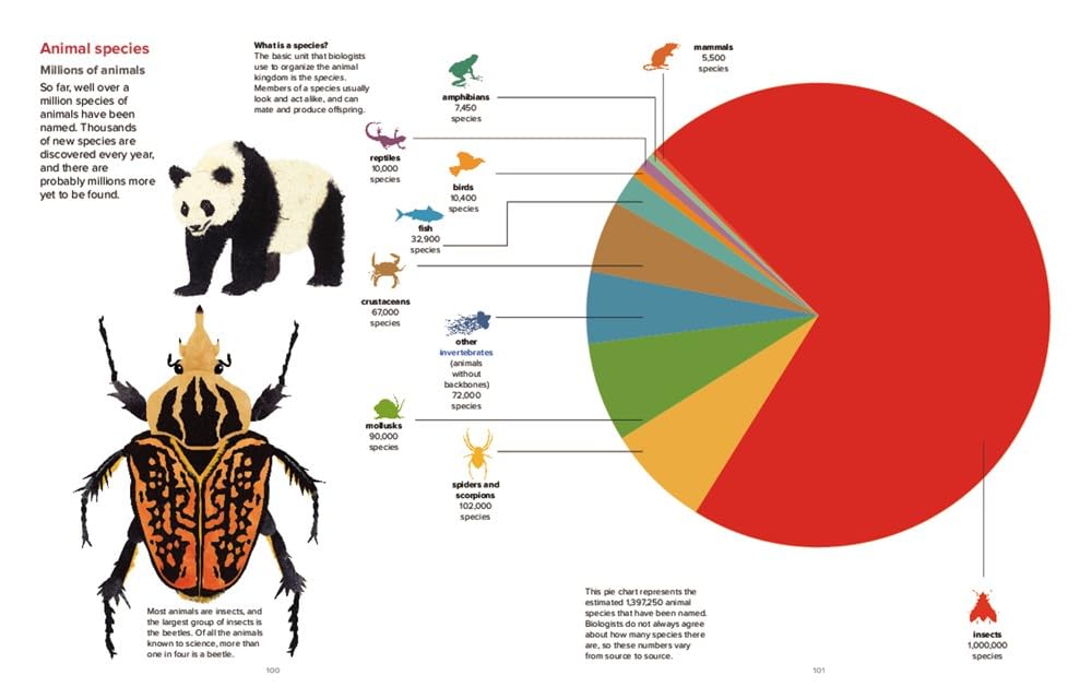 Our World By The Numbers Book - Image 2