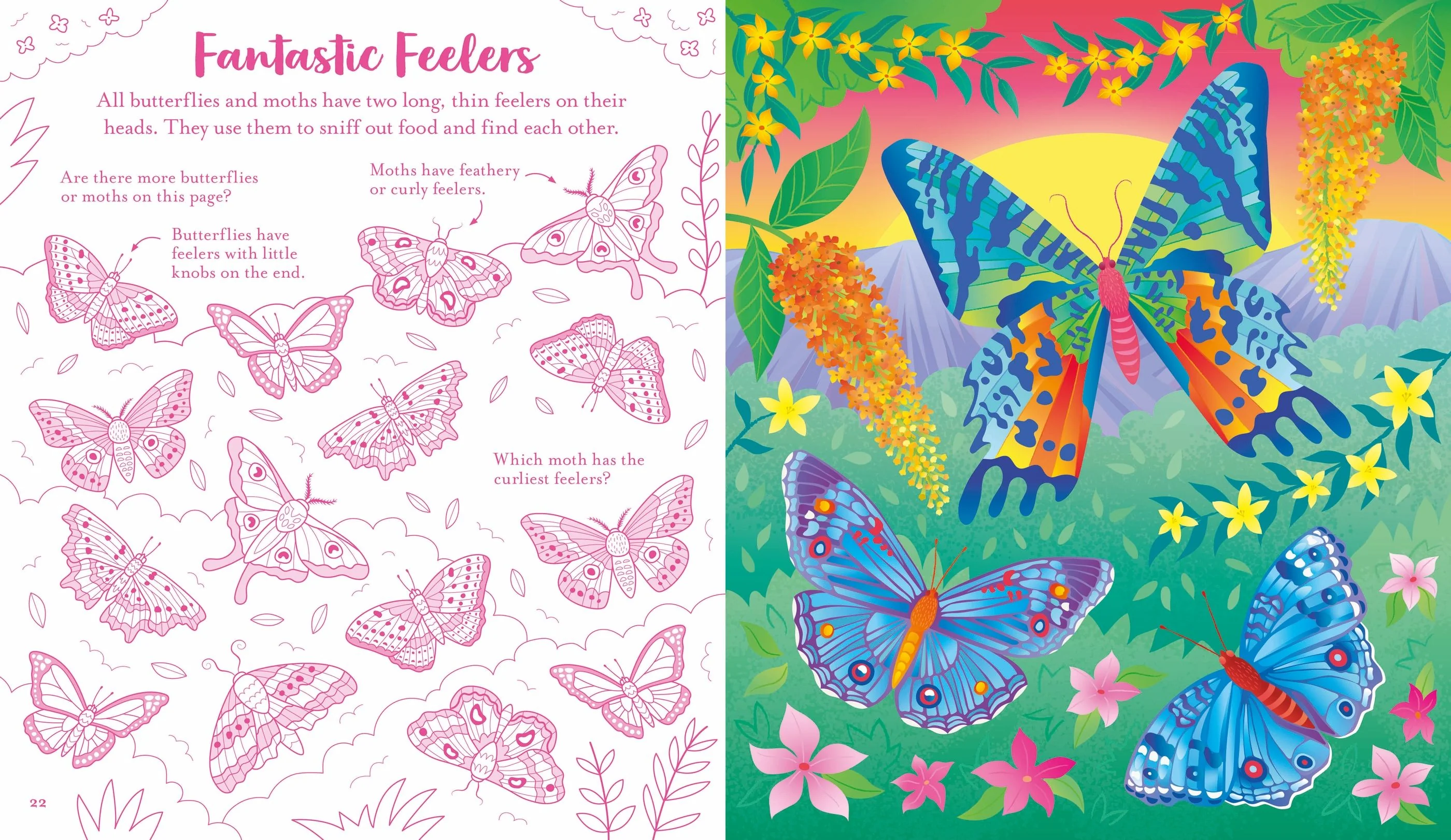 Scratch Activities Butterflies Book - Image 2